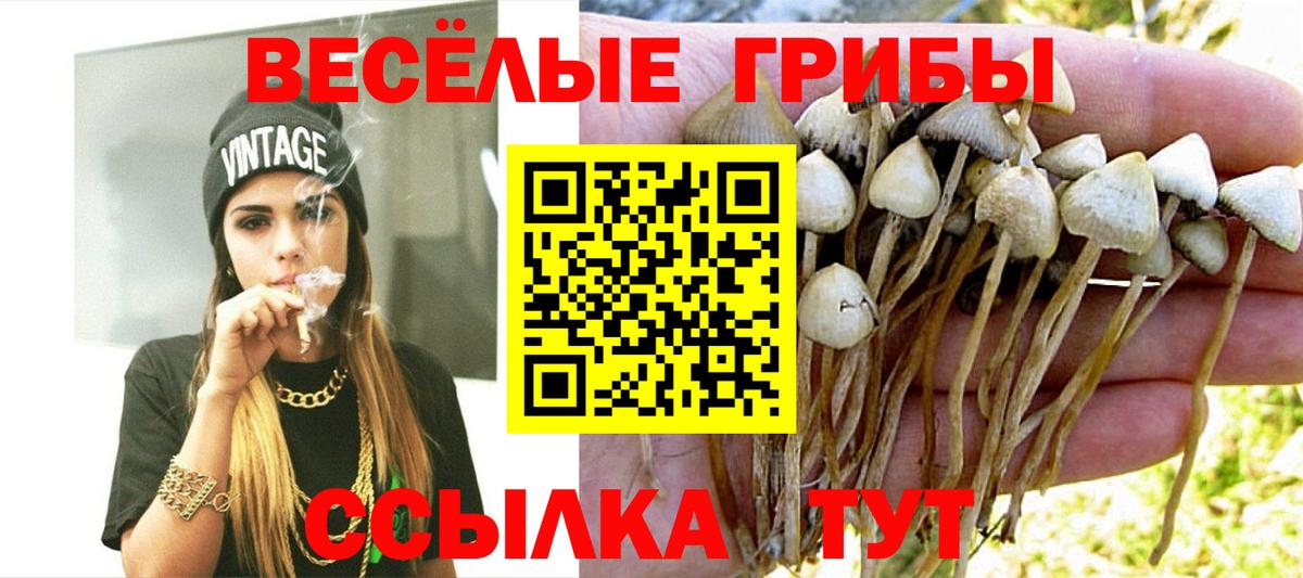 Железногорск  Галлюциногенные грибы MAGIC MUSHROOMS  Вход с VPN 